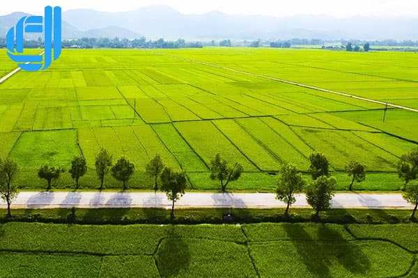 ﻿5 điểm du lịch nổi tiếng Điện Biên mà bạn phải đến