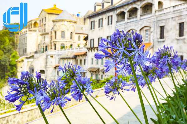 Tour Cần Thơ đi Đà Nẵng 4 ngày bằng máy bay