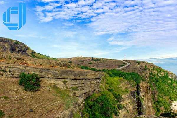 Tour du lịch đảo Lý Sơn Quảng Ngãi 1 ngày giá rẻ lịch trình chuẩn