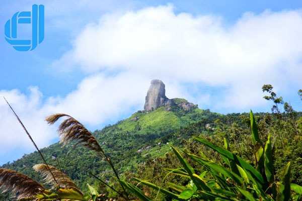 Tour du lịch Phú Yên 4 ngày 3 đêm khởi hành hằng ngày