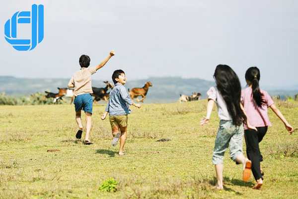 Tour du lịch Phú Yên từ Đà Nẵng 3 ngày 2 đêm trọn gói | D2tour