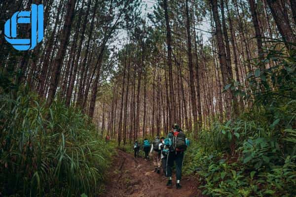 tour trekking rừng đà nẵng trải nghiệm sinh tồn